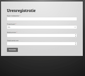 Template voor urenregistratie-formulier