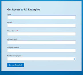 The Lead Capture Form template